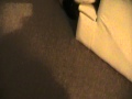 20090620194628
