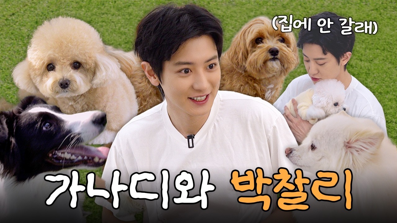 멍멍! 찰리쌤 나 안아..🐶 세상 귀엽고 깜찍 발랄한 가나디들의 천국✨ [ 처음이라 : 강아지 유치원편 ]