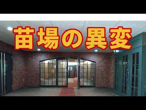 【苗場プリンススキー場に異変!?】西武ヴィラ徹底調査 湯沢リゾートマンションに迫る
