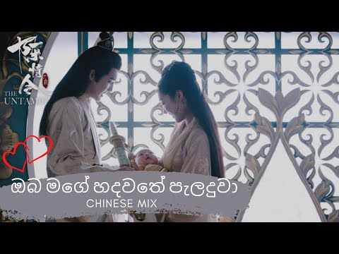 ඔබ මගේ හදවතේ පැළඳුවා] oba mage hadawate peladuwa/Korean mix sinhala songs/Chinese mix Sinhala song