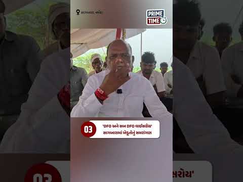 Gujarat Samachar Prime Time Bulletin: આજના દિવસના મહત્ત્વના સમાચાર Gujarat Samachar Prime Time Bulletin: આજના દિવસના મહત્ત્વના સમાચાર