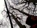 Evil And Emo Swings Not Made For People