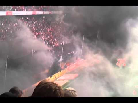 Fan-Randale beim 1.FC Köln