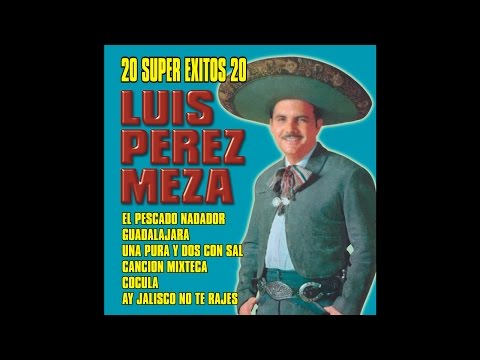 Luis Perez Meza - El Sube Y Baja