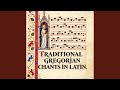 Sanctus Aeternus — “Eternal Holy One”