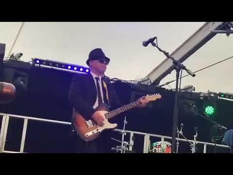 The Fedz at Peterborough Beer Fest 2017 | PiP