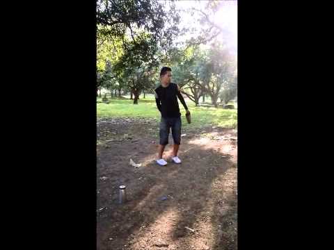 Flair by Leonil Telib