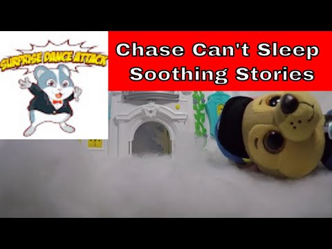 Chase Can't Sleep - Soothing Stories for kids