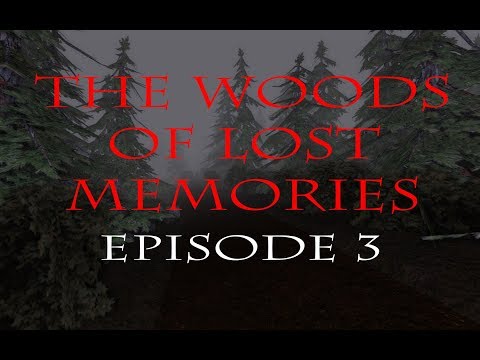 WHICH WAY DO I GO? AMNESIA CUSTOM STORYtime - WOODS OF LOST MEMORIES ep3