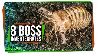 8 Boss Invertebrates That Eat Whatever They Want