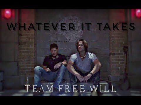 team free will || whatever it takes