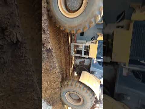 maluku bazo bongisa nzela by odoss'b vuvu multi service