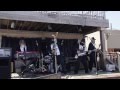 Meshugga Beach Party - Borscht Belt Beat (Live 2013)