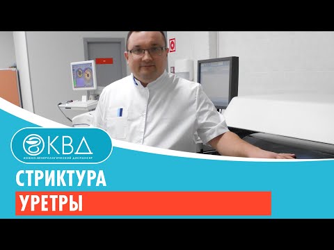 Структура уретры. Клинический случай №40