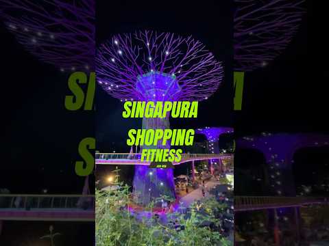 Singapura shopping Caldas novas Goiás.