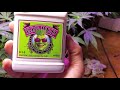 Growing cannabis #4 Leveling my cannabis canopy and Big Bud advanced nutrients