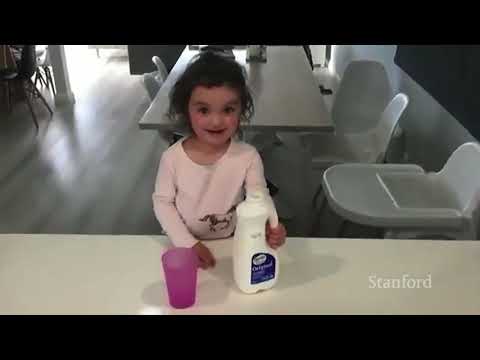 Stanford Seminar Designing bioinspired aerial robots with feathered morphing wings