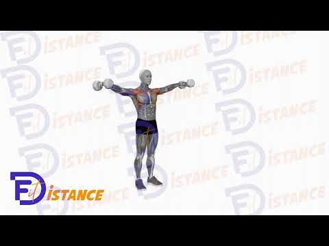 Exercice Élévations latérales combinées à élévations frontales