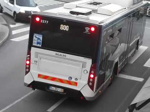 STCP New buses — 3377 - 800