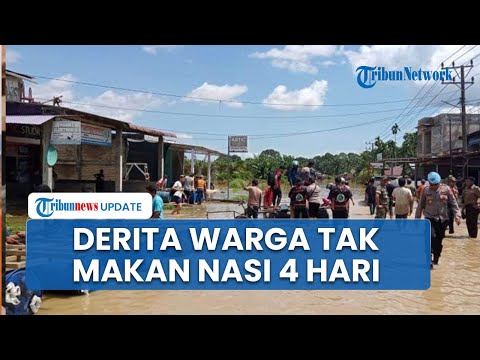 Potret Pilu Warga di Aceh Tamiang! Jalan Kaki Malam Hari, Tak Makan Nasi 4 Hari Terisolasi Banjir
