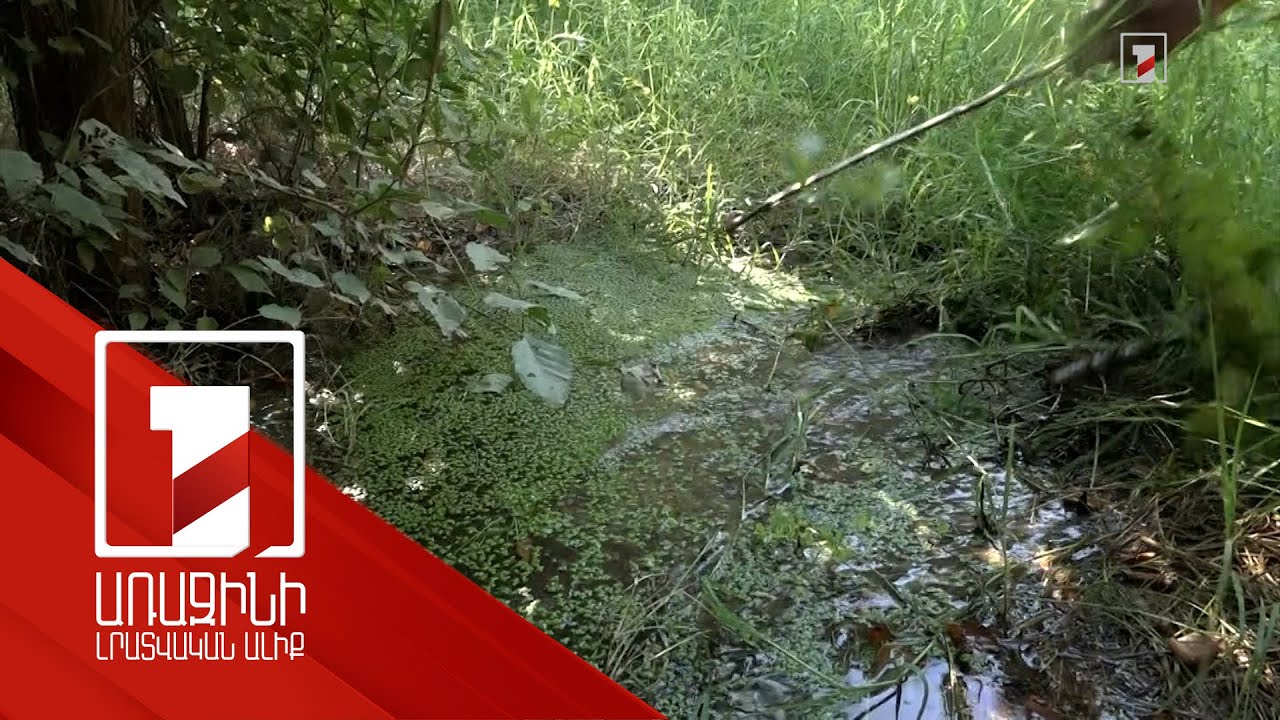 Ոսկեհատի մաշված խողովակաշարի պատճառով դուրս հորդող ջուրը որոշ տեղերում ճահճուտներ է առաջացրել