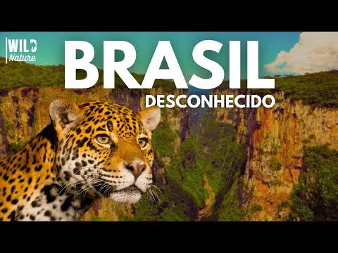 BRAZIL AS YOU'VE NEVER SEEN IT | Full Documentary