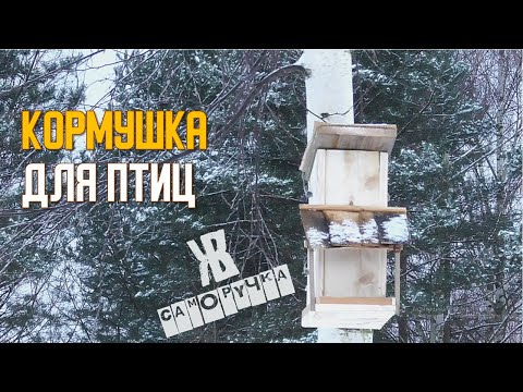 КАК НАКОРМИТЬ ПТИЦ ОДИН РАЗ И НА ВСЮ ЗИМУ!. Бункерная кормушка для птиц. ЖКВ саморучка
