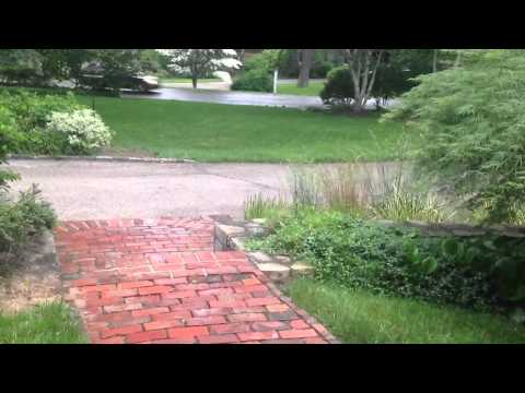 YouTube Trailer