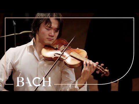 Bach - Largo ma non tanto from Concerto for two violins BWV 1043 | Netherlands Bach Society