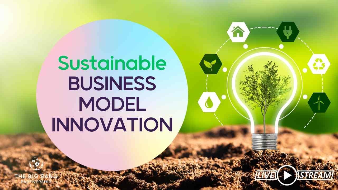 Sustainable Business Model Innovation