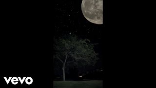 Taran Gray - Rocket to the Moon