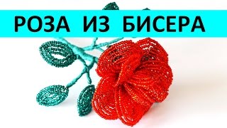 Как сделать розу из бисера уроки для начинающих схема
