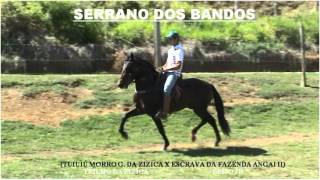 preview picture of video 'SERRANO DOS BANDOS'