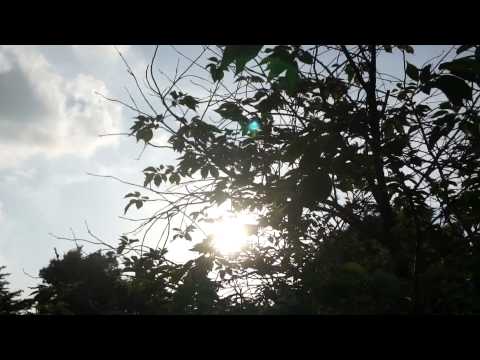 Mo' Ceiling Touch 2015 Trailer