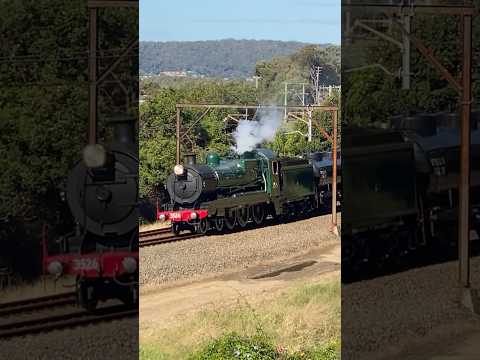 3526 Whistling Through Koolewong #australiantrains #3526 #gosfordsteamweekend #trainspotting