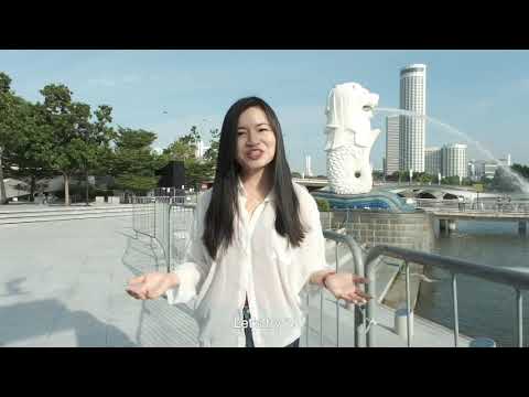 Prep Junior - Learn Chinese