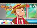 Non-stop Curious George! 🐵 | Curious George | Mini Moments