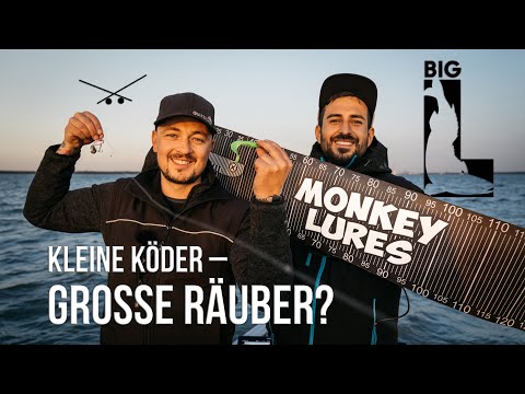 Kleine Köder - Große Räuber ? BIG L angelt auf Hecht, Barsch und Zander !