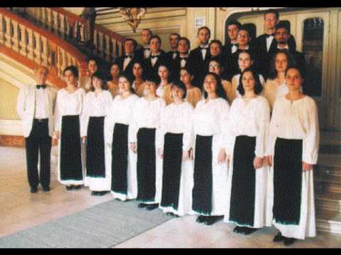 Cantores Amicitiae - Floare albastra