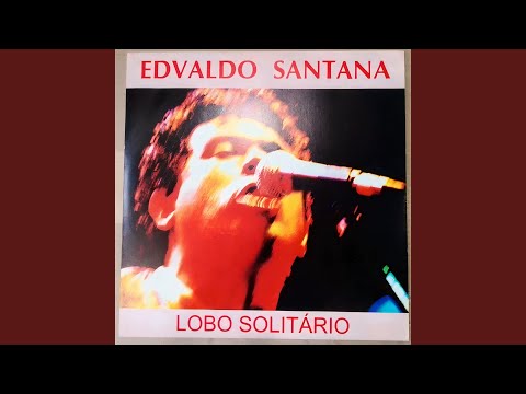 Lobo Solitário