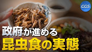 政府が進める昆虫食の実態