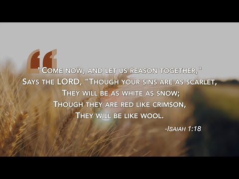 The Scarlet Cord - Jacob Prasch