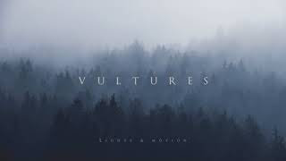 Lights & Motion - Vultures (Bonus Song)