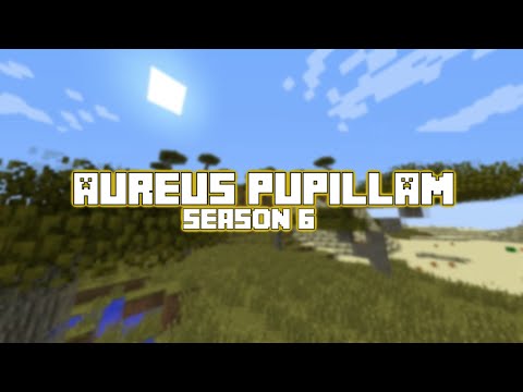 Orange Juice — Aureus Pupillam UHC: S6E2