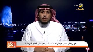 شيح العطارين ( البعيثران ) 100جرام