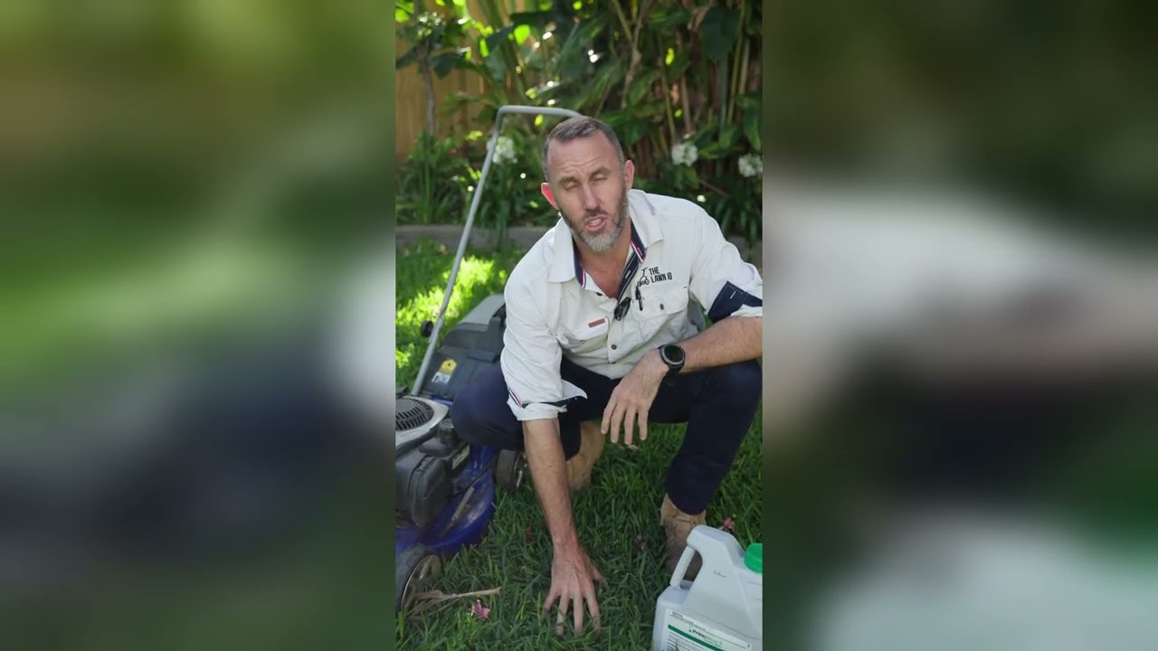 Growth Regulators & Mowing Tips