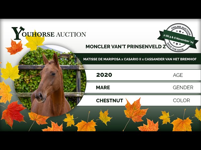 Moncler Van't Prinsenveld Z