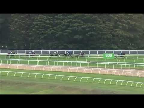 2019 Chipping Norton Stakes Analysis