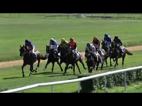 2021 dzień 8 gonitwa 1