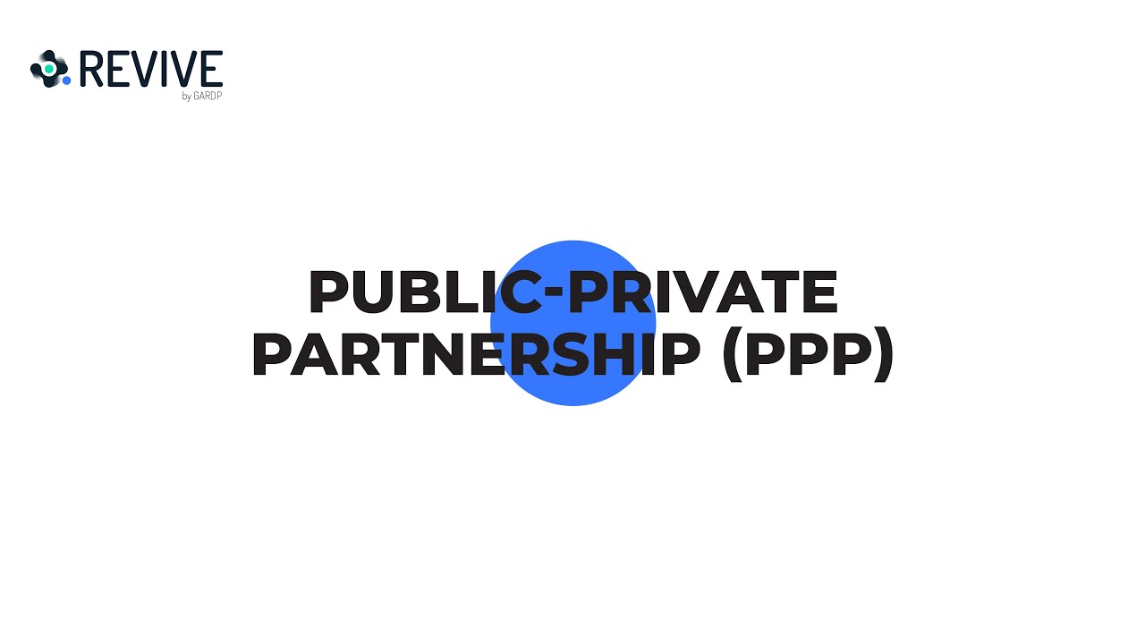 Public-private partnership (PPP)